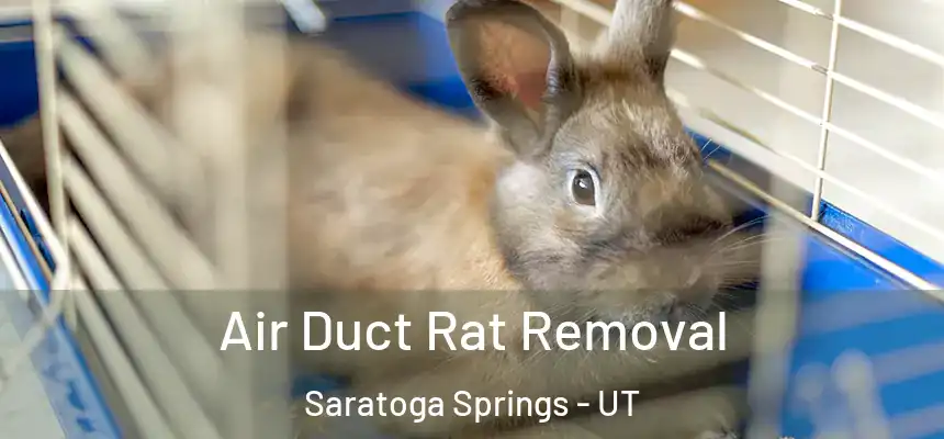 Air Duct Rat Removal Saratoga Springs - UT