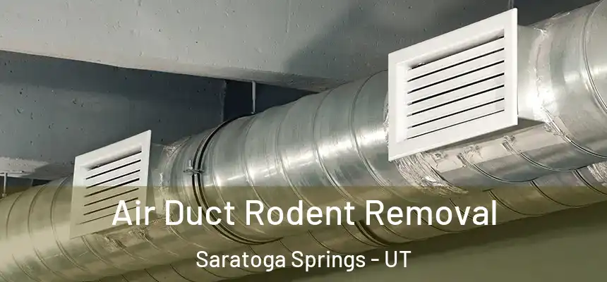  Air Duct Rodent Removal Saratoga Springs - UT