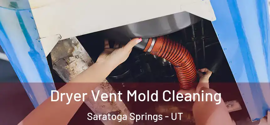 Dryer Vent Mold Cleaning Saratoga Springs - UT