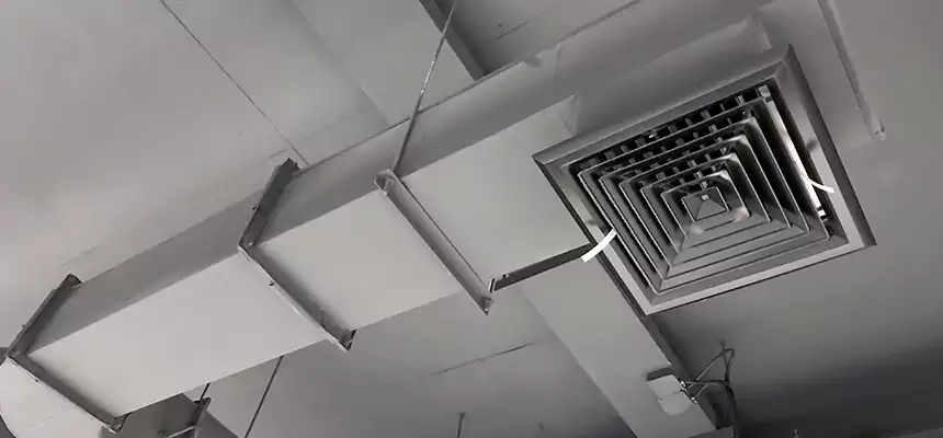 Our Pest Removal From Ducts Services in Saratoga Springs, UT