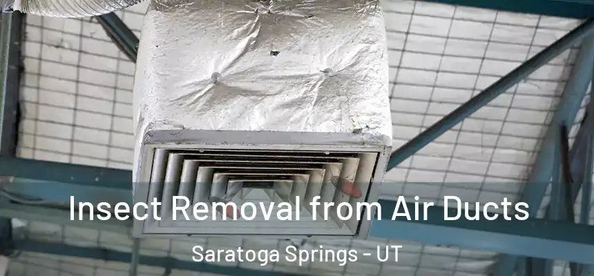  Insect Removal from Air Ducts Saratoga Springs - UT