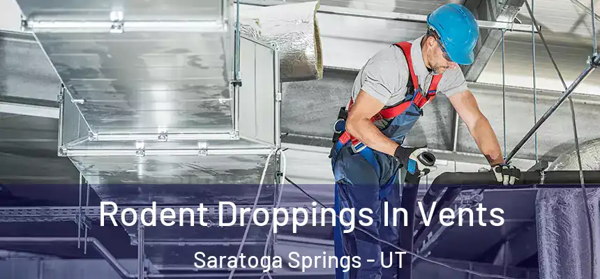 Rodent Droppings In Vents Saratoga Springs - UT