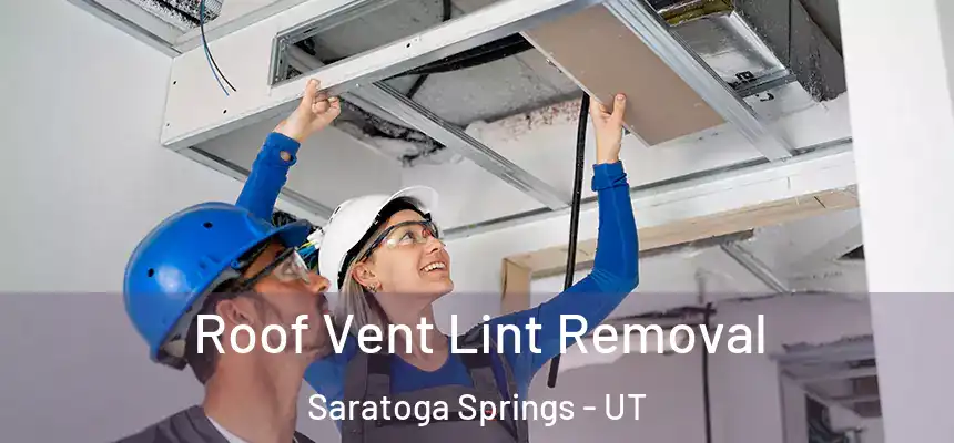 Roof Vent Lint Removal Saratoga Springs - UT