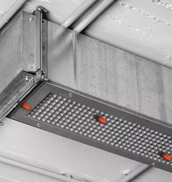 Affordable Insect Removal from Air Ducts in Saratoga Springs, UT