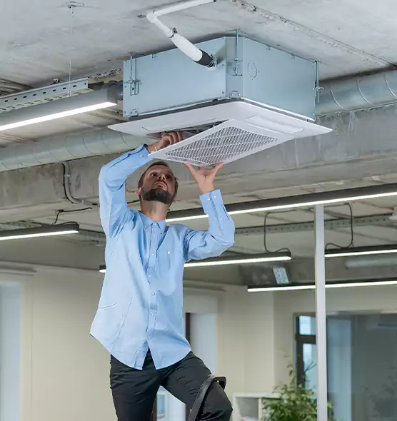 Advanced Rodent Droppings In Vents in Saratoga Springs, UT